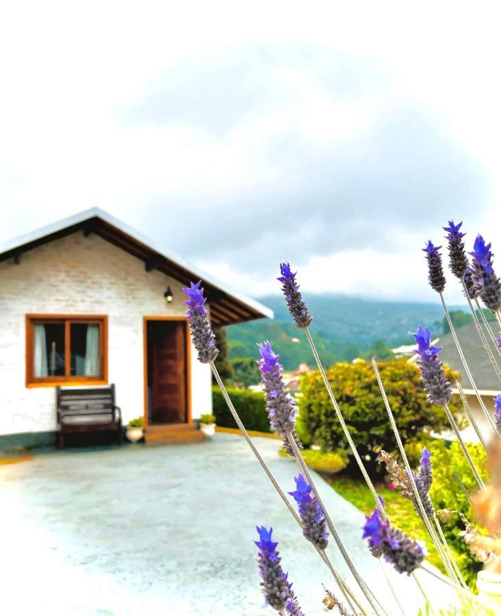 Monte * Monte Verde (Minas Gerais)