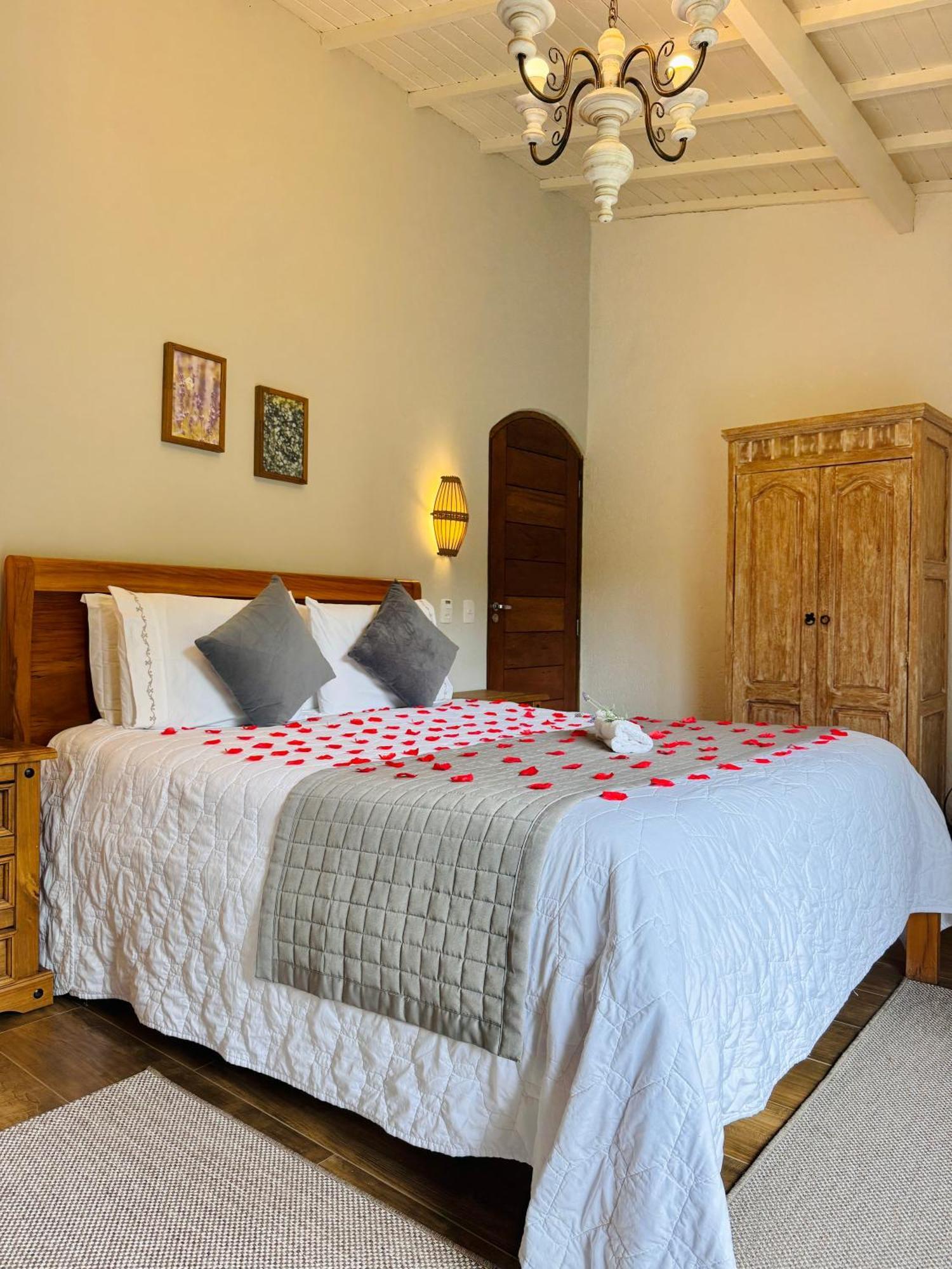 Monte Casa de hóspedes